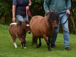 Rebecca and Xtra Special 4